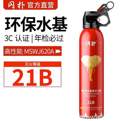 Water-Based Fire Extinguisher for Private Cars, Small Car, Portable Vehicle-Mounted Household Fixed Annual Inspection Fire Equipment Essential (Vehicle fire extinguisher) - 620ml-high-performance-21b-fire-extinguisher-high-temperature-explosion-proofsecurityenvironmental-friendly