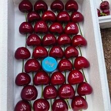 现摘现发顺丰空运次日达大连美早大樱桃红樱桃新鲜水果整箱孕妇