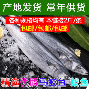 12��/�����E�~����r�����E�~���R�o�~�W�����~������r���l