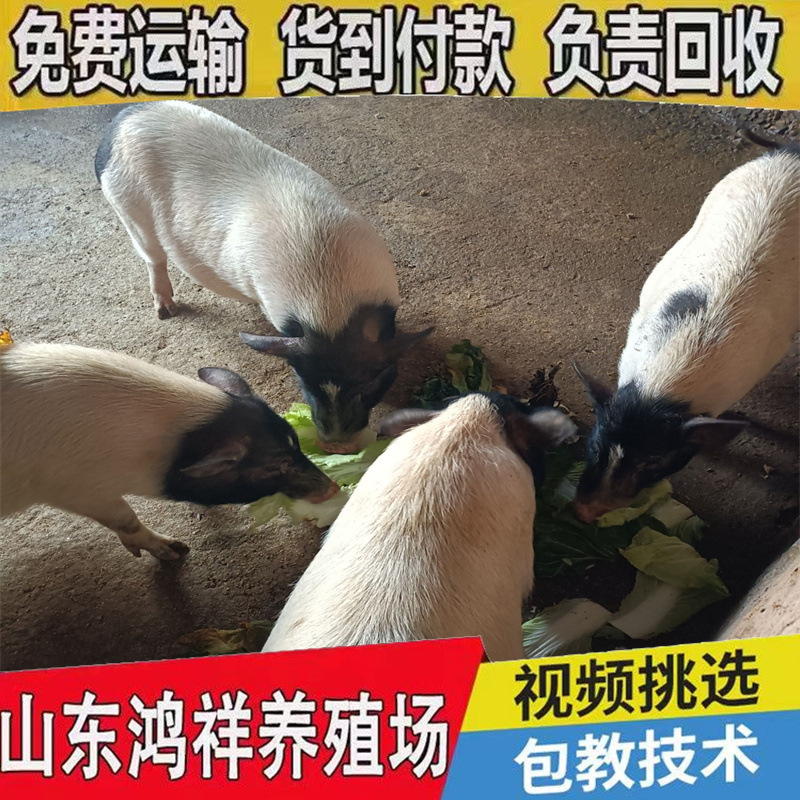 048f4694c4b44a77bd1ec61f566af6