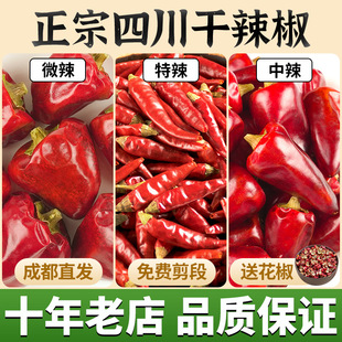 �����Ĵ������������������콷���������ǽ����G�lС����������؛