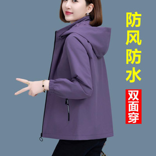 �p�洩����Ů����2026�¿����ꋌ���������e�A����Ůʿ���_�h��