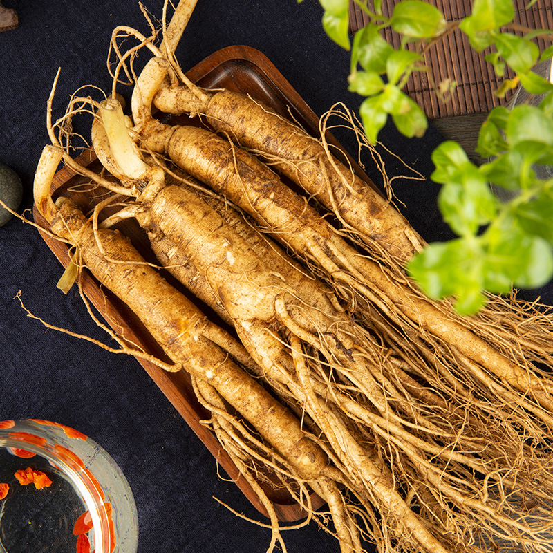 Fresh Changbai Mountain Ginseng, Bulk with Soil, Freshly Dug Round Ginseng, Full-Age Whole-Branch Ginseng, Origin Wholesale