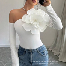 欧美女装新款夸张立体花朵装饰长袖露肩紧身上衣LZR19069优雅
