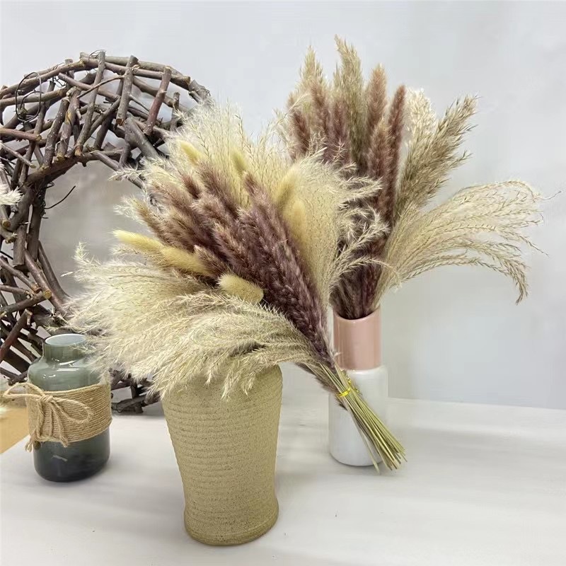 128ff002a5c0257697270d8819bb27