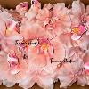 Simulated flower 3D printing French film Phalaenopsis exquisite little red book popular hairpin wedding souvenir decoration