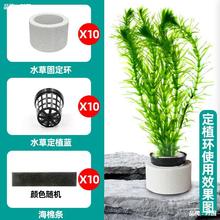 水草定植三件套陶瓷环固定杯下沉杯定植蓝定植环定植棉鱼缸沉环