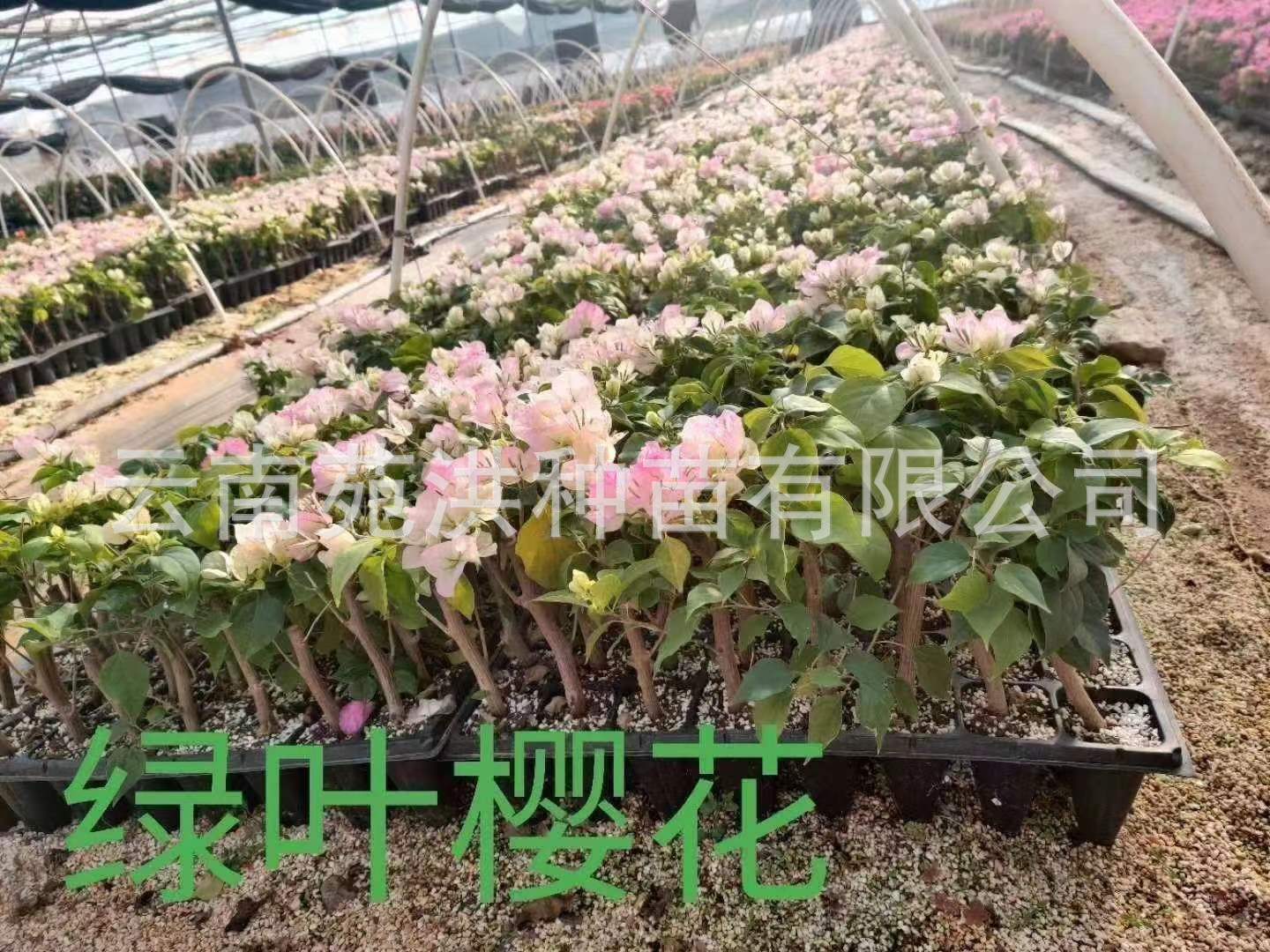 6d023c11d4ca2aa2f79766d91bb0a5