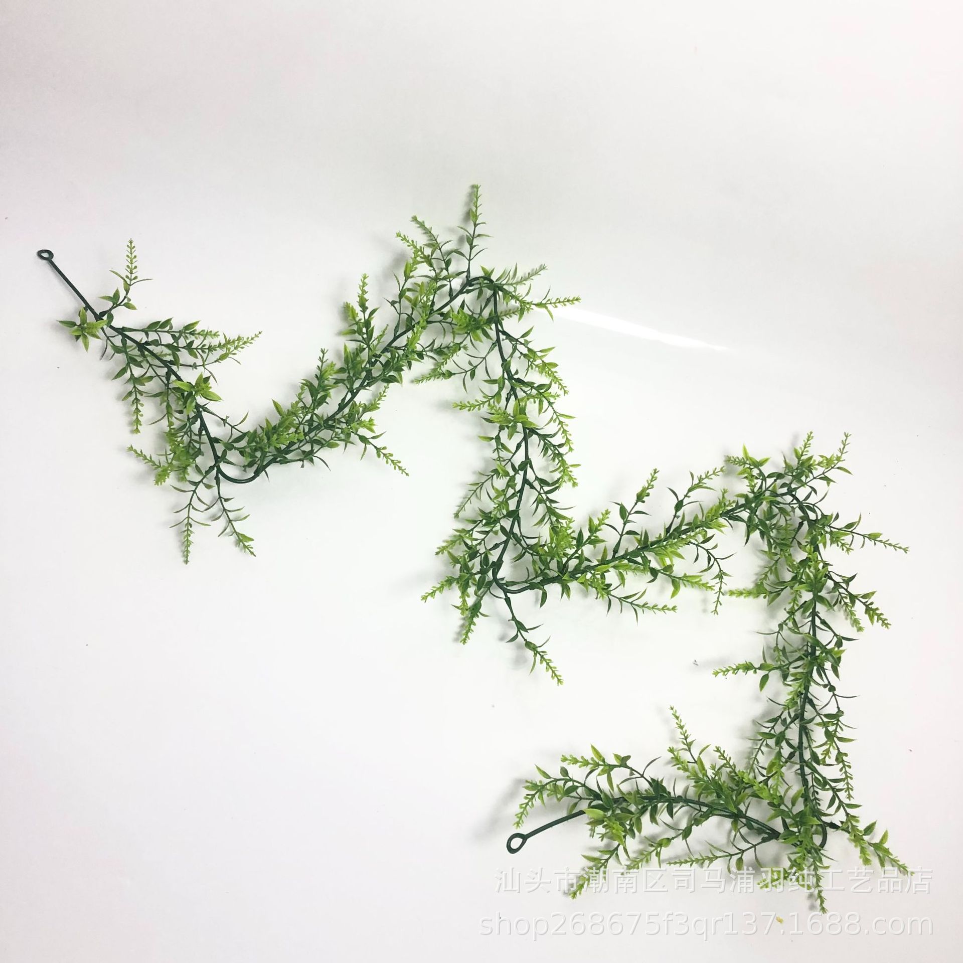 녹색