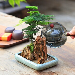 ˮ���׻�ֲ������՚��ļ������̨���B�����辰����������������