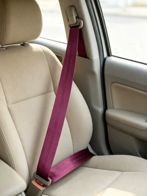 Car seat belt | car modifications, high-quality seatbelt - rose-red