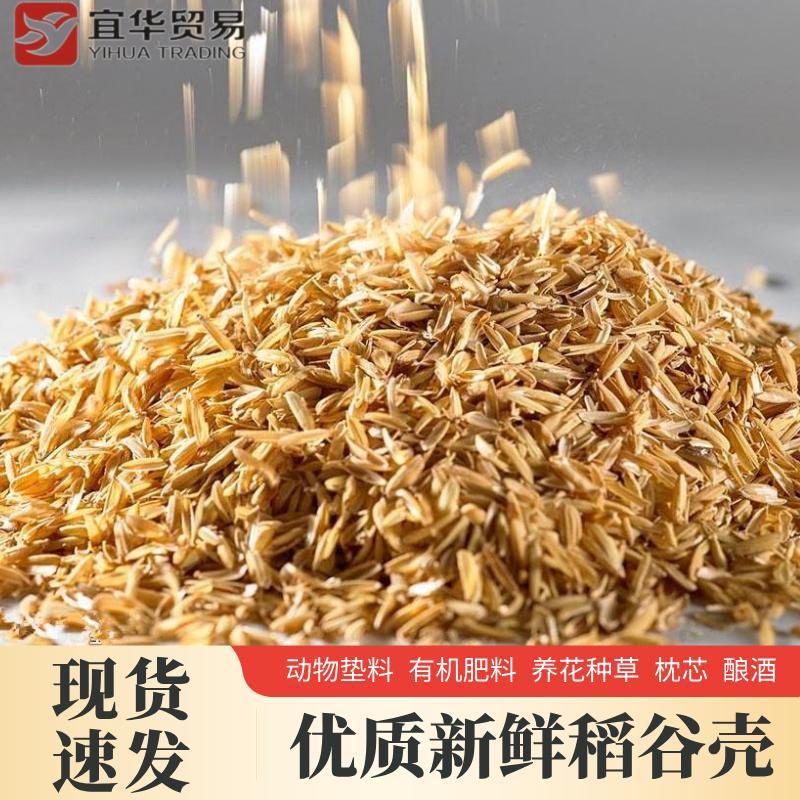 广西稻谷壳 干谷壳 谷壳有机肥 适用于发酵肥料 有机肥原料