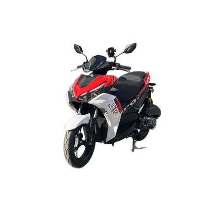 Export Off-Road Vehicle, Motosikletlər
