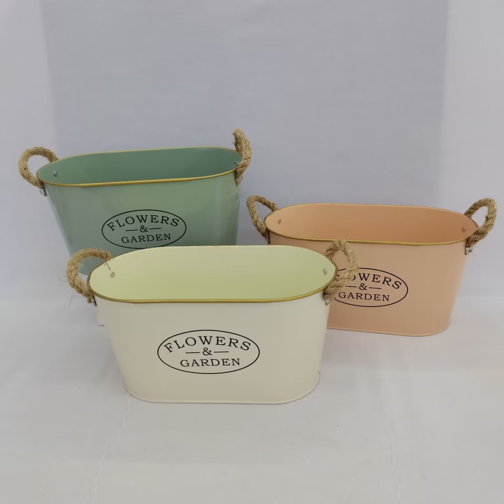 QQ图片20230316111155