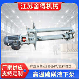 高温浓硫酸液下泵立式耐盐酸稀盐酸泵增压浓硫酸用液下泵