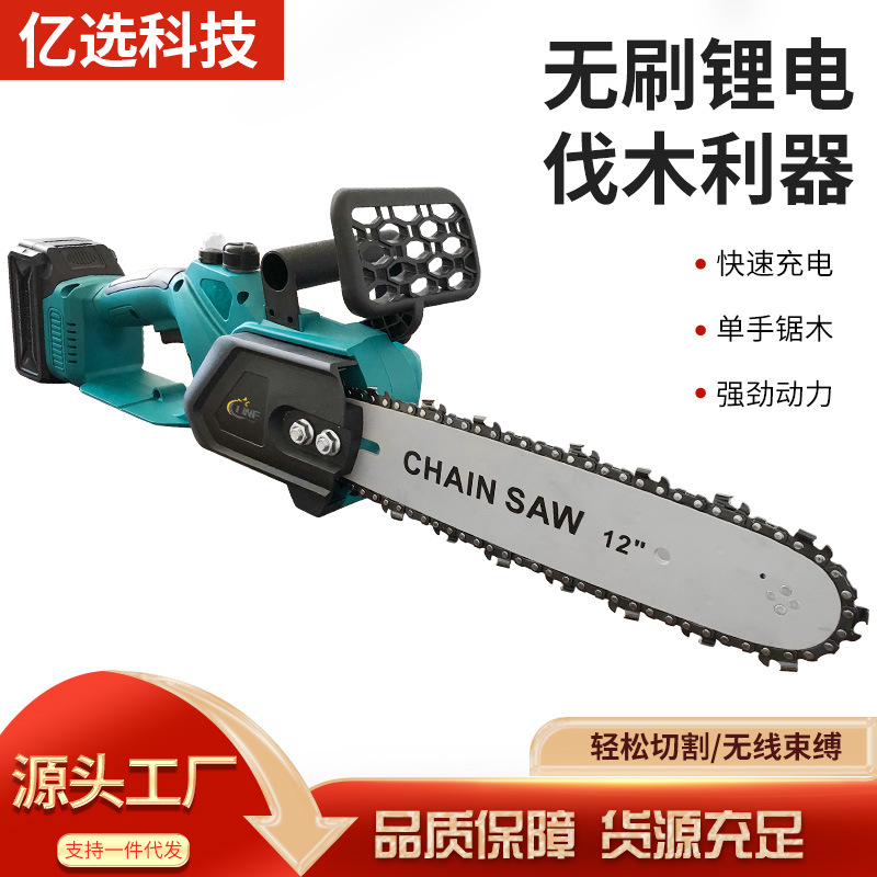 Rechargeable lithium battery charging