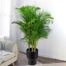 �S�����l���ϻ���ɢβ���Pβ�������҃ȿ͏dֲ���ļ��L����;Gֲ