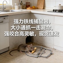 �҃ȸ�Ч����������ʽ����������A���B�mȫ�Ԅ��F�A���ò������