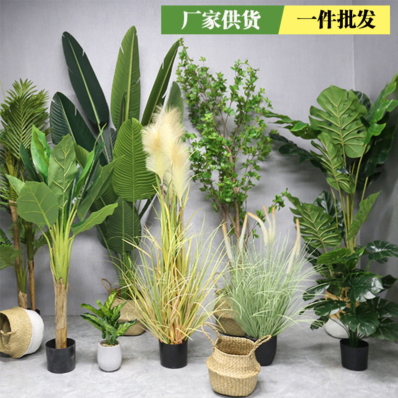 Simulation green plant simulation tree simulation plant potted indoor decoration traveler Banana Bird of Paradise fake green plant bonsai wholesale