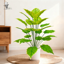 �羳����Gֲ�����~ֲ�������҃ȿ͏d�辰��ؔ[��ܛ�b�����b�