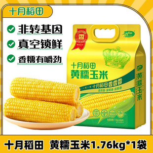 ��ʮ�µ���SŴ����8��/8/16֧ ��֬������r�|��ճŴ������
