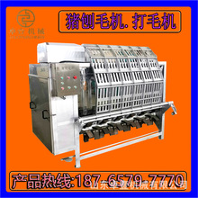 iëCiëC ҺiëC ȫiÓëO