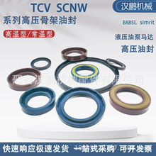 BABSL CFW TCV�߉��Ǽ��ͷ�ȏ�8-30�ͱ��ͷ�SCNW�[���R�_�ͷ�