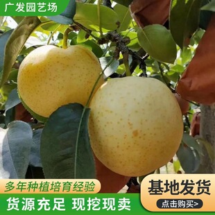 �޽������ �ʹ������� �S������� ����Y���ϱ����Nֲ�����