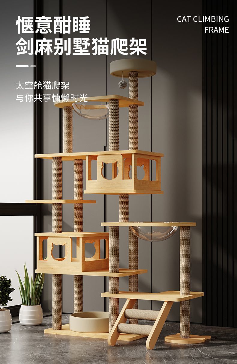 fa18ef21-f4e1-444f-af35-9d5a0f81e9ee.jpe