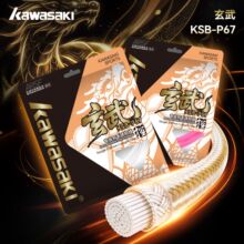 Kawasaki��������KSB-P67��ë���ľ��ߏ�Ӗ����ِ����������