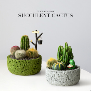 ���������ԽM�϶���ֲ��С�������k��������Gֲ�������նY��