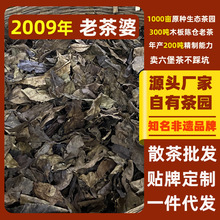 ����������2009��ș���ϲ��ŷ��z�O�Ƃ��y��ˇ�ֹ����Ʋ��~���l