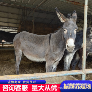 �B�H�������u���H��Ļ��H����� �������H�����l �����H�Bֳ��
