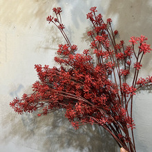 仿真7头日本野果 仿真花塑料花 婚庆家居摄影装饰青藤果枝米兰果