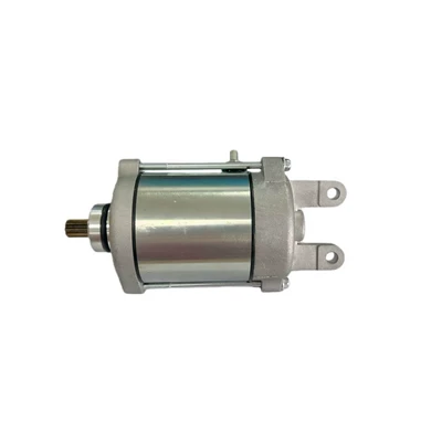 31210-Lea7-E00 Is Suitable for Motorcycle Starting Motor Kawasaki G300 14-20 Motor (Starter and accessories)