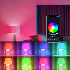 Doodle Bluetooth Smart Bulb RGBCW five-way infinite dimming APP control ALEXA control CCT color tuning cross-border