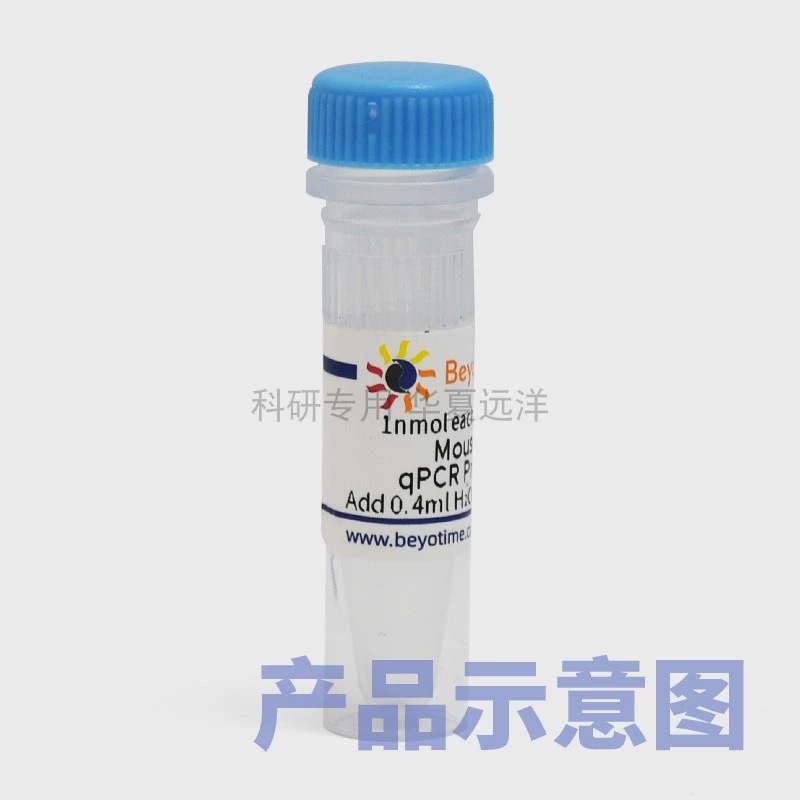 QM31970S Mouse Fis1 qPCR Primer Pair 200次