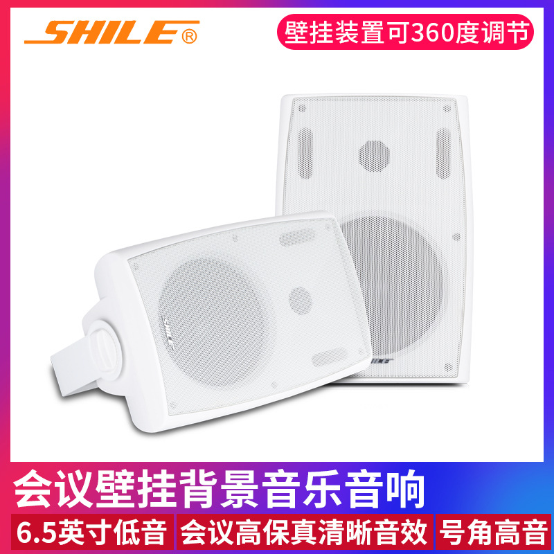 专业6.5英寸壁挂式会议音响 狮乐BX-102店铺室内高保真HIFI音箱