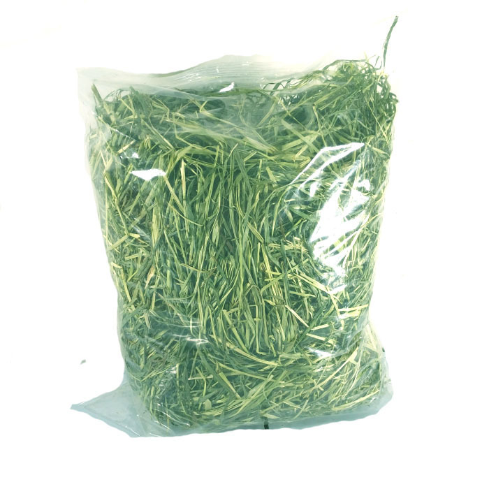 2024年新草 テモリ草 うさぎ干し草 短草 グミウム飼料 チンチラ飼料 0.5kg 送料無料|undefined