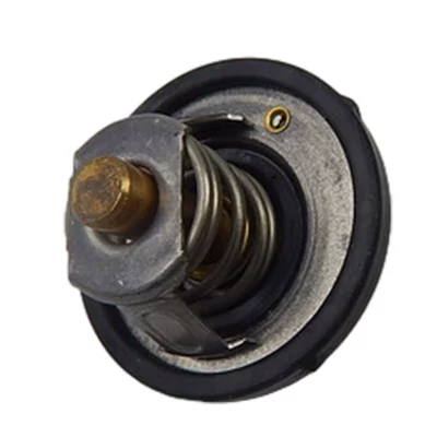 Thermostat Tiger New Fox forris