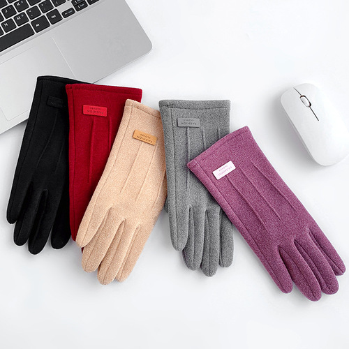 Women's Winter Riding Warm Gloves, Fleece Lined, Thick, Windproof, Touchscreen Compatible, Cold Weather Riding Warm Gloves
