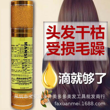 磨砂精油 PPT 香水护发精油60ML 美发用品免洗头发发尾油