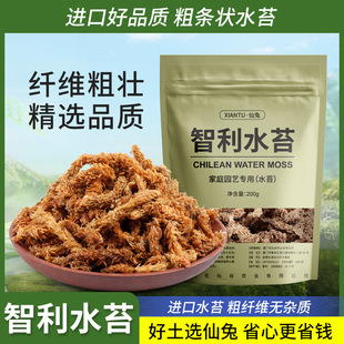 �����M��ˮ̦�����m�����m����ʯ��ëë�xˮֲ̦�ϸ�̦�\��������