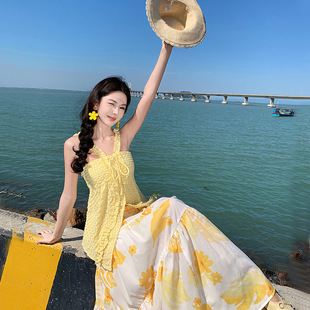 2025 �����L�첱���bȹ���e���|�p�g�ļ��¿�ɼ����B��ȹ