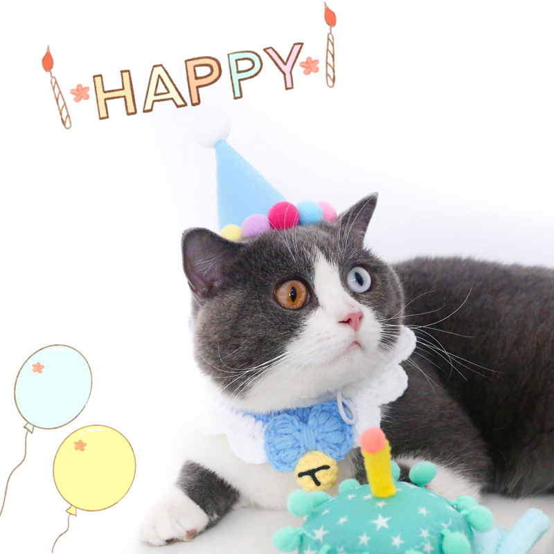Mascota tridimensional princesa caballero sombrero de cumpleaños gato perro conejo ajustable sombrero de fiesta tocado accesorios de Navidad comercio exterior