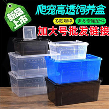 加大号宠物饲养盒带透气孔活体爬虫箱蜘蛛蝎子守宫蛙乌龟饲养箱