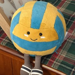ビーチバレーボールの創意バレーボールのぬいぐるみ運動のぬいぐるみをなだめてプレゼントします。
