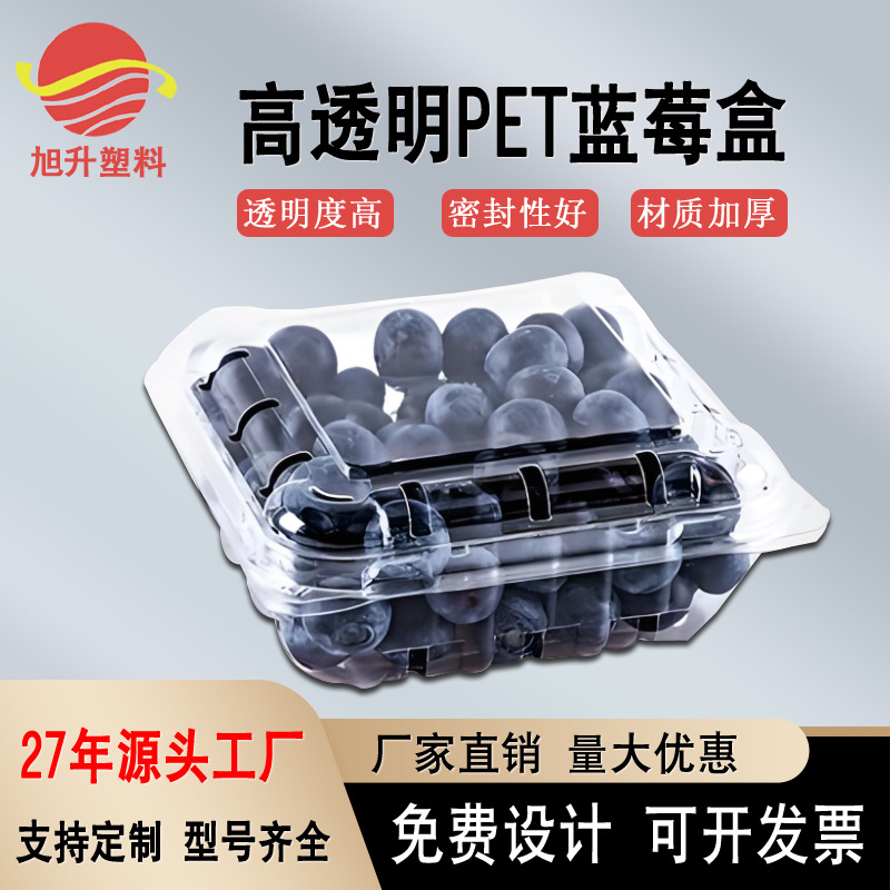 厂家直供透明PET塑料蓝莓盒125g带盖水果盒加厚一次性塑料盒蔬果
