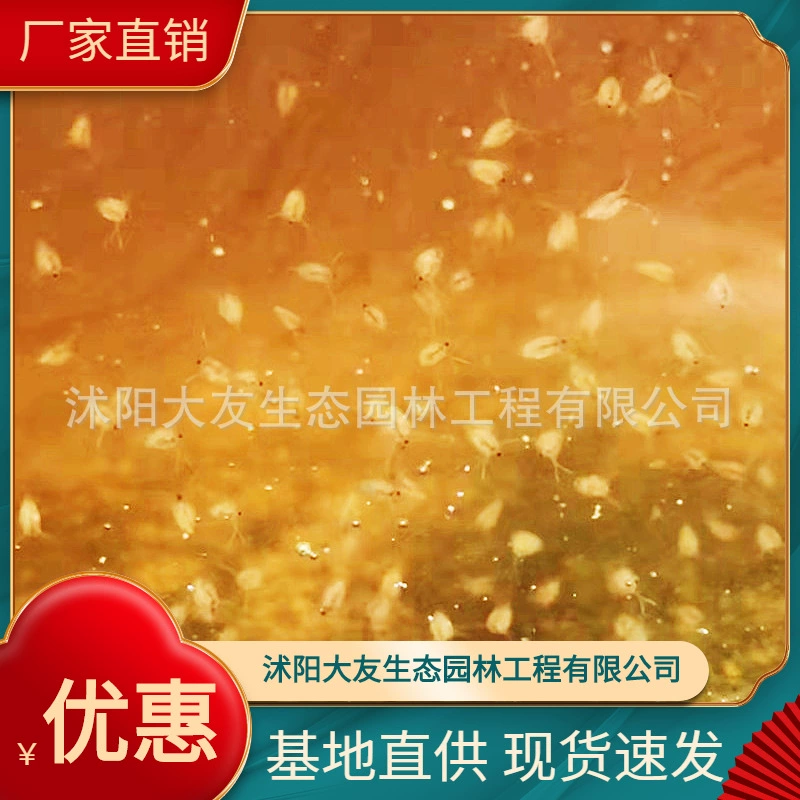 База поставляет водорослеядных насекомых, Daphnia Magna, жаберных животных, зоопланктон, водоросли Daphnia контролируемые водоросли, Daphnia 1-6 мм