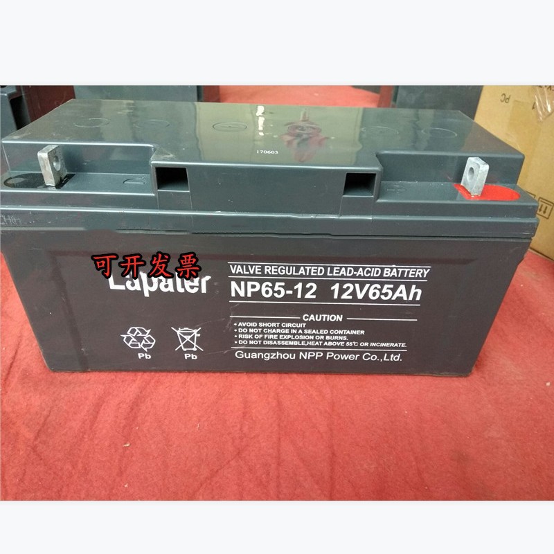 拉普特蓄电池NP65-12/12V65AH机房UPS/EPS直流屏太阳能储能电源